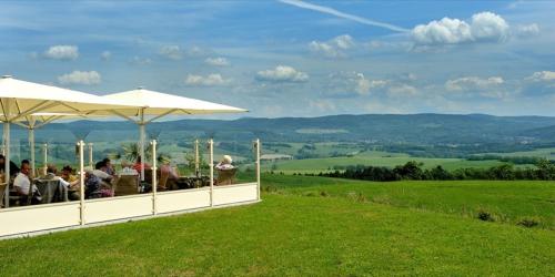 Skats, Panorama Hotel am Frankenstein in Moorgrund