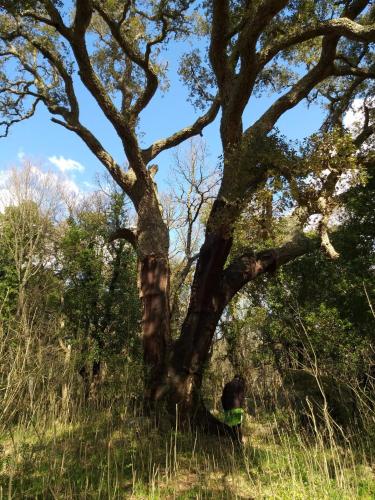 La Vecchia Posta B&B
