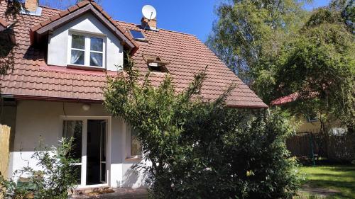 Mandarynkowy in Debki