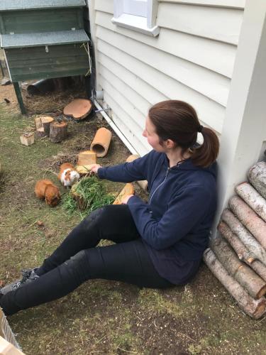 Tailor Made Tekapo Accommodation - Hostel in Lake Tekapo