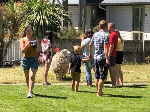 Garden, Tailor Made Tekapo Accommodation - Hostel in Lake Tekapo