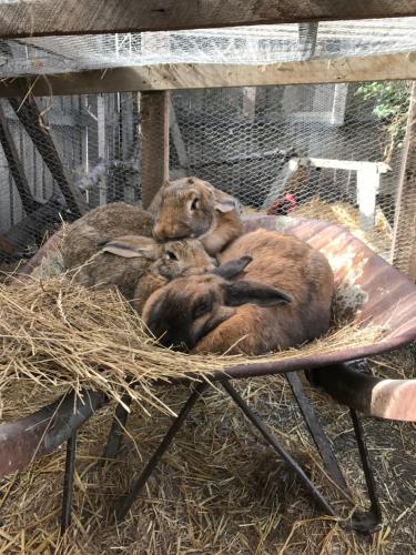 Facilities, Tailor Made Tekapo Accommodation - Hostel in Lake Tekapo