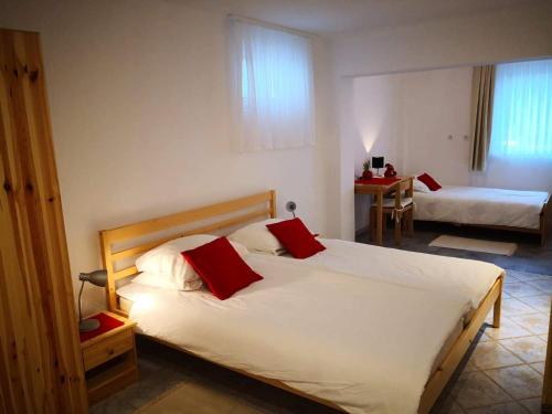  Anica House in Novigrad