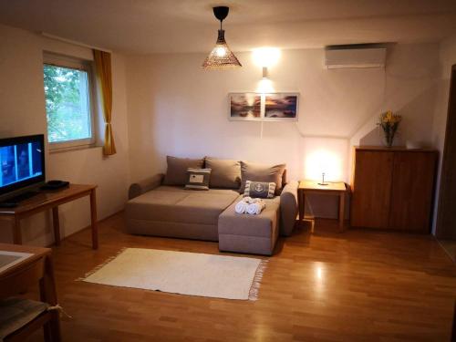  Anica House in Novigrad