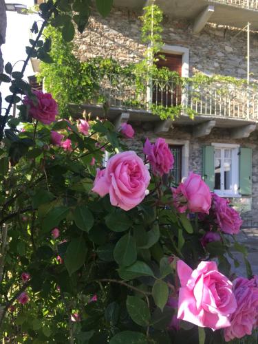 Accommodation in Brovello-Carpugnino