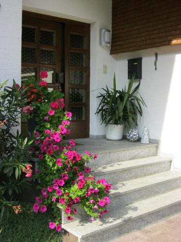 Appartements Bischof - image 3