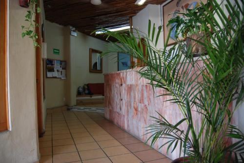 Лобби, Hotel Alux Cancun in Канкун