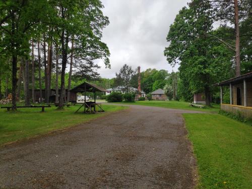 White House - image 2