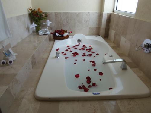 บริการและสิ่งอำนวยความสะดวก, Hotel Senorial Tlaxcala in ตลัซกาลา