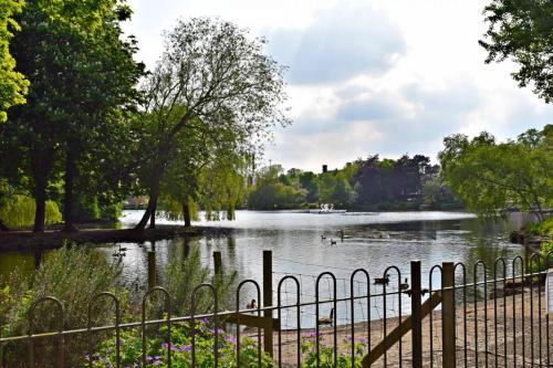 Book Today - 4 bed house Sleeps up to 10 Free wifi Perfect for Family & Business Travelers - Hartco Serviced Accommodation Walsall - image 11