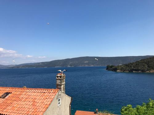  Apartments Tarcizio in Valun