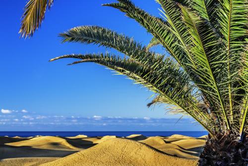 Las Adelfas 5 By CanariasGetaway - image 2