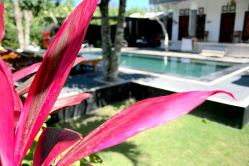 Uluwatu Made Guesthouse