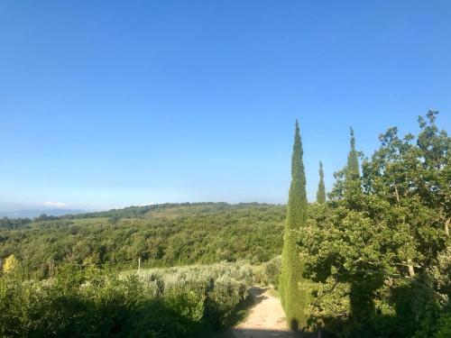  Agriturismo Campo al Crognolo in Sassofortino