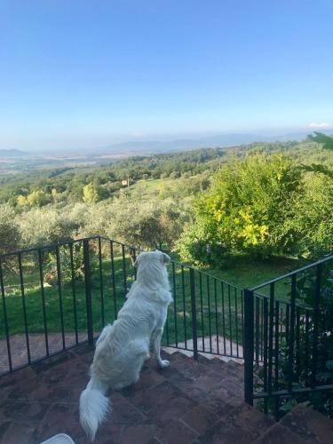  Agriturismo Campo al Crognolo in Sassofortino