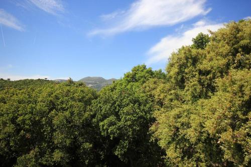 Apartments by the sea Cove Vrbovica bay - Vrbovica (Korcula) - 4452 - image 6