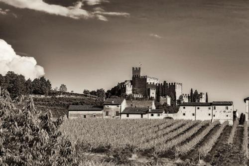 SOAVE HOUSE ALLE VIGNE-1-Luxury stay