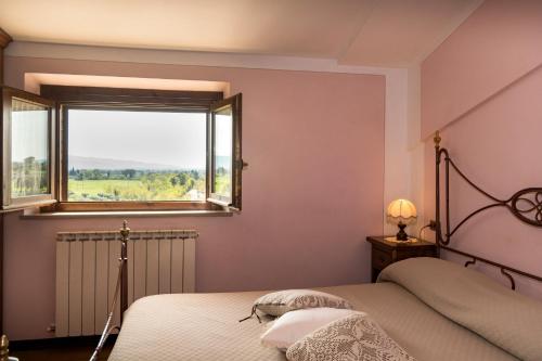Comfort Quadruple Room image 10