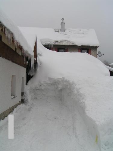 Pension U Krtka - image 7