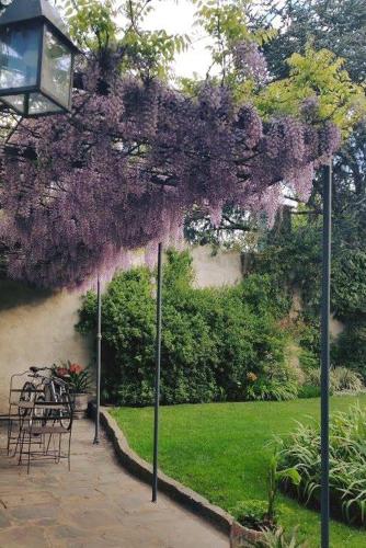 정원, Bar Suites in 탄딜