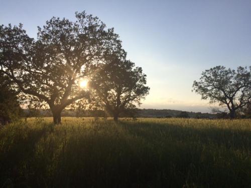 Masseria Sant'Elia 5