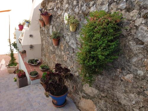  Monte das Cercas 2 in Monchique