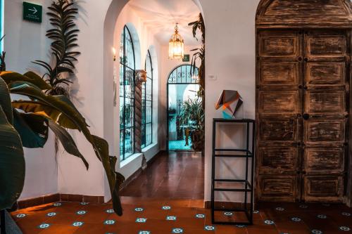 Orchid House Polanco Orchid House Polanco