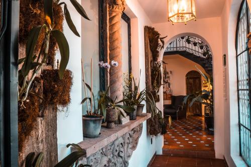 Orchid House Polanco Orchid House Polanco