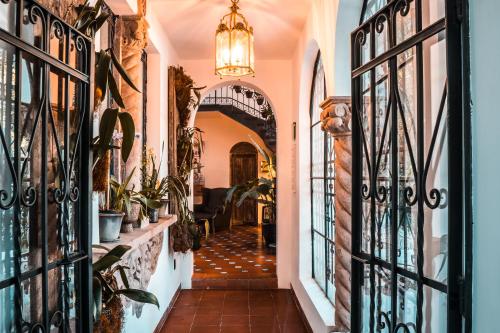 Orchid House Polanco Orchid House Polanco