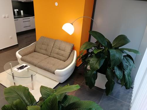 Apartmány Duo - image 13
