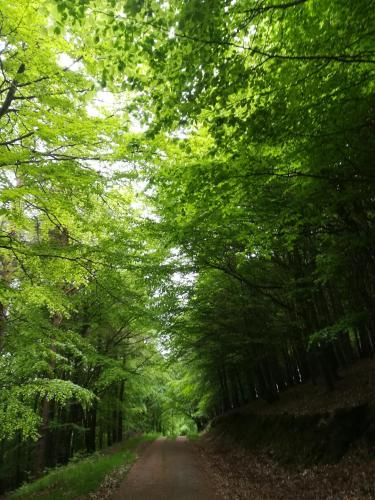 Relaxing space. in Wicklow