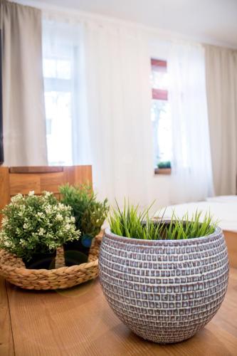 Apartment Dora in Chemnitz, Deutschland