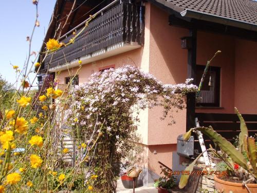 BellaIris in Igersheim, Deutschland