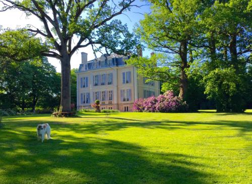 Château La Creuzette - Accommodation - Boussac