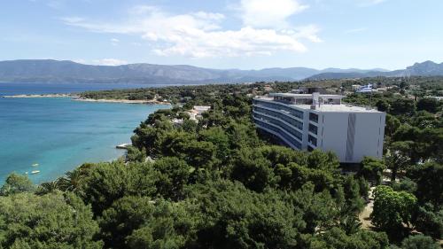 Hotel King Saron - image 2