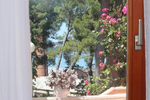 Apartments Villa Lucu - image 8