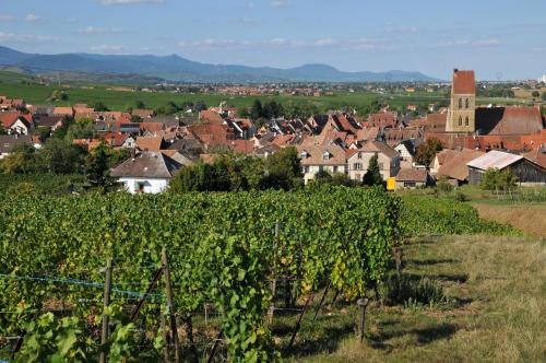 B&B Relais du Vigneron - Jean-Luc et Bruno Meyer