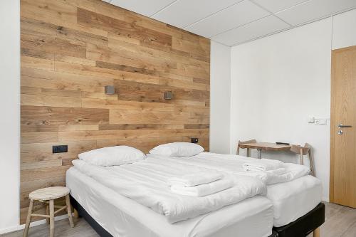 Studio Apartment - Basement