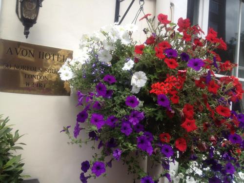Avon Hotel - image 10