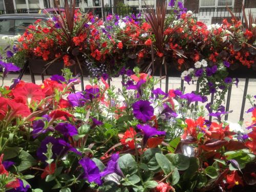 Avon Hotel - image 13