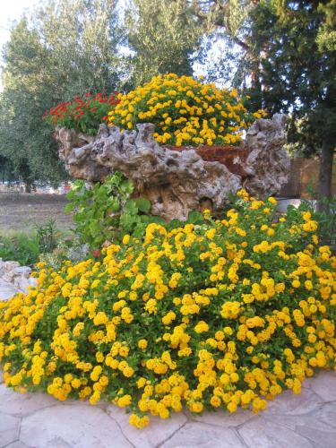 Ktima Ellopia – Kolymbia, AZ