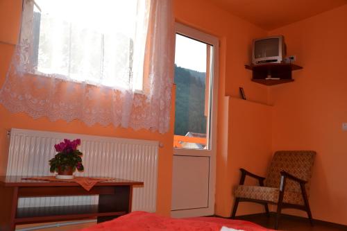 Pensiunea Lala - image 12