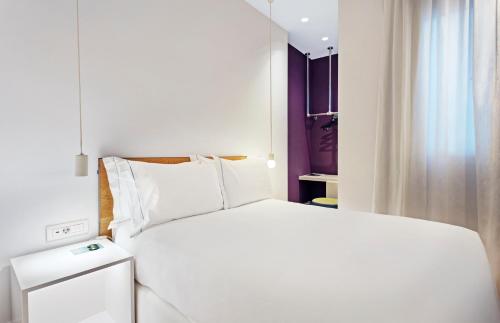 One Shot Prado 23 - image 4