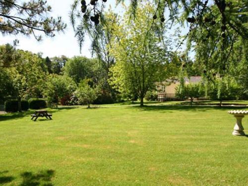 Trelaze - image 7