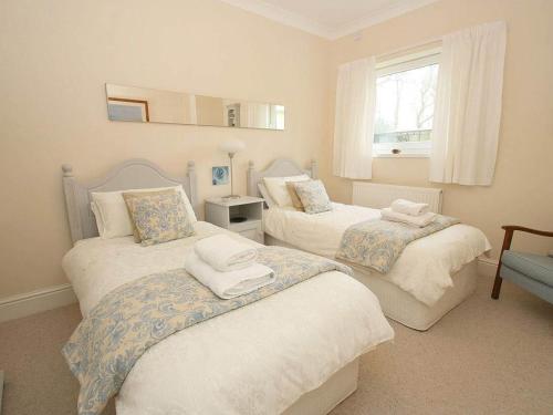 Trelaze - image 10