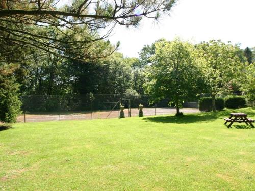 Trelaze - image 5