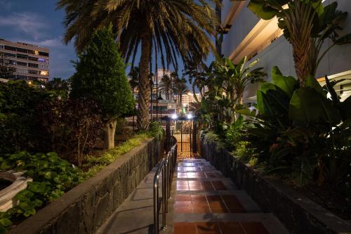 TC Apartamentos Dorotea - main image