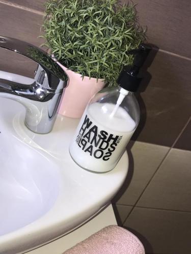 apartmani milan-o Sabac