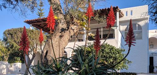  Vivenda Balou in Silves