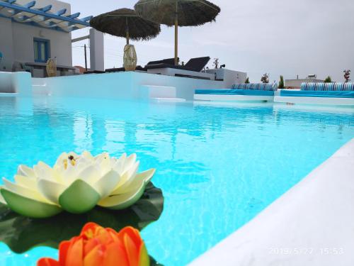 Santoxenia luxury villa - Santorini
